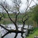 An Den Linden