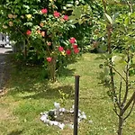Appartement An Den Linden *