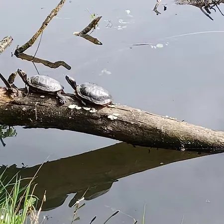 An Den Linden Lejlighed *