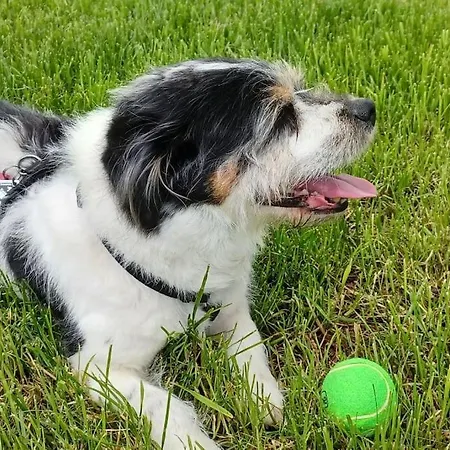 An Den Linden Kelmis