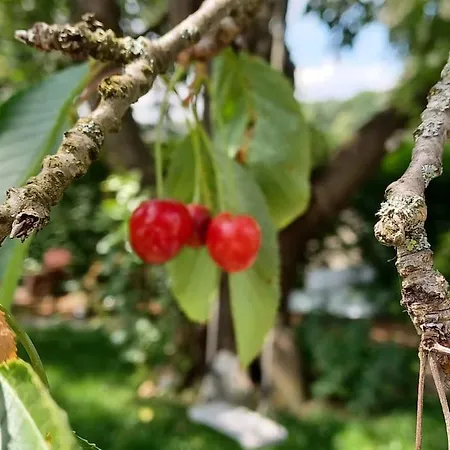 Διαμέρισμα An Den Linden