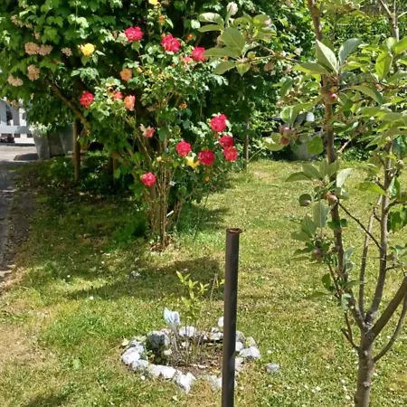 Apartmán An Den Linden *