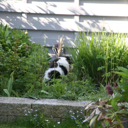 An Den Linden Διαμέρισμα