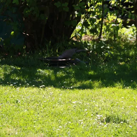 An Den Linden Kelmis